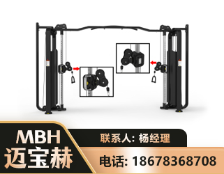 汕头大飞鸟训练器