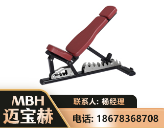 汕头可调哑铃椅